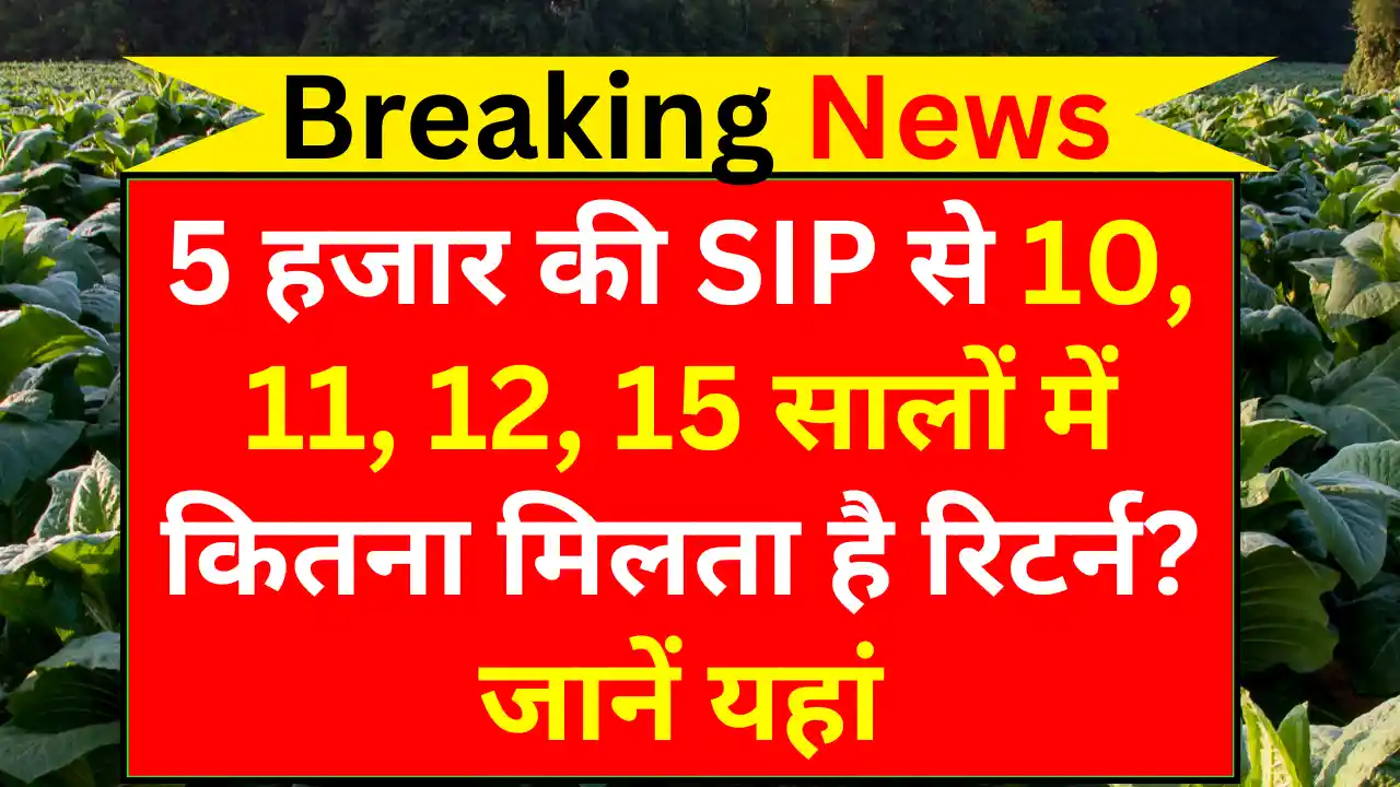 Mutual Fund SIP