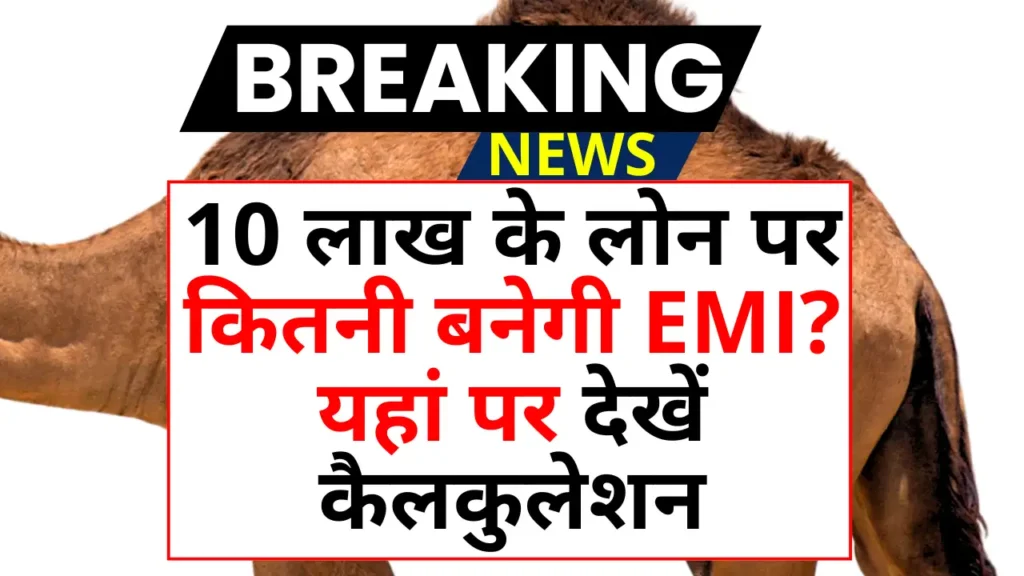 PNB Bank Business Loan