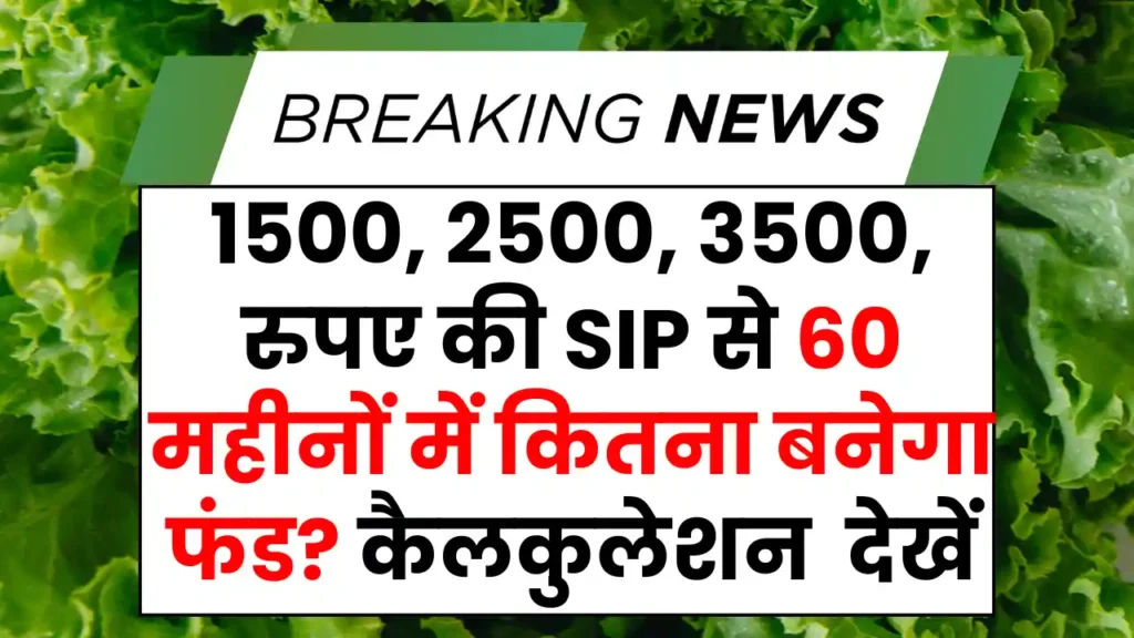 SIP Investment